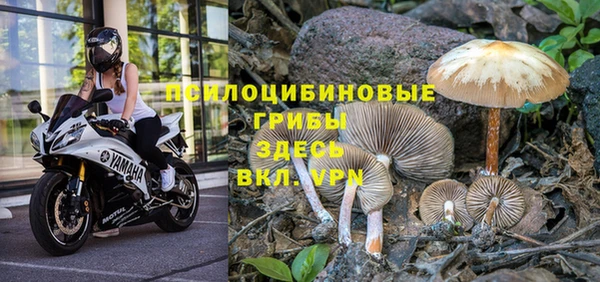 каннабис Армянск